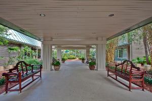 Magic Tree Resort Kissimmee