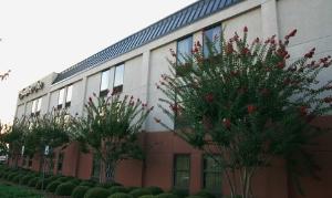 Hampton Inn Cottondale