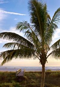 Residence Inn by Marriott Treasure Island